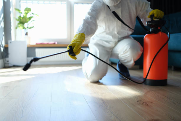 Trusted Trauma Scene Cleanup service in Scotts Valley, CA - Four Month Blood Cleanse